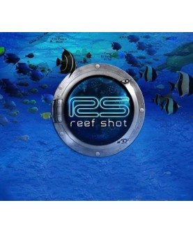 Reef Shot Steam Key GLOBAL